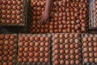 Jelang Nataru, BPS Sebut Harga Bawang Merah, Cabai hingga Telur Ayam Naik