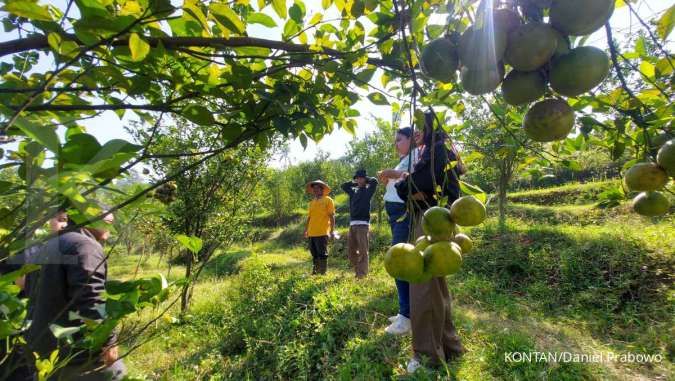 Desa Wonoagung Genjot Pendapatan Desa dari Pariwisata Hingga Pertanian