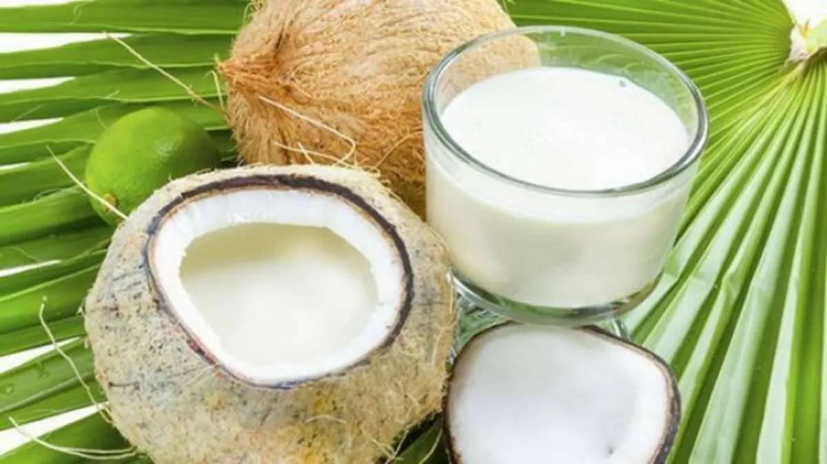 Efektif Menurunkan Berat Badan, Ini 3 Manfaat Santan Kelapa untuk Kesehatan 