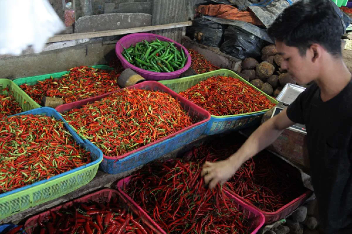 Harga minyak goreng dan cabai melonjak menjelang Nataru 