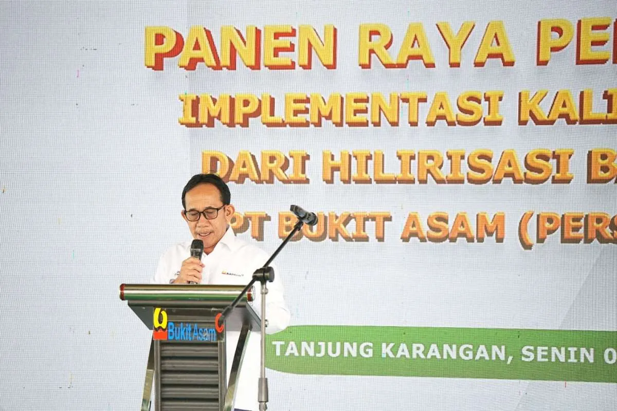 Panen Raya Hasil Padi Kalium Humat Bukti Hilirisasi Batubara Dukung Ketahanan Pangan