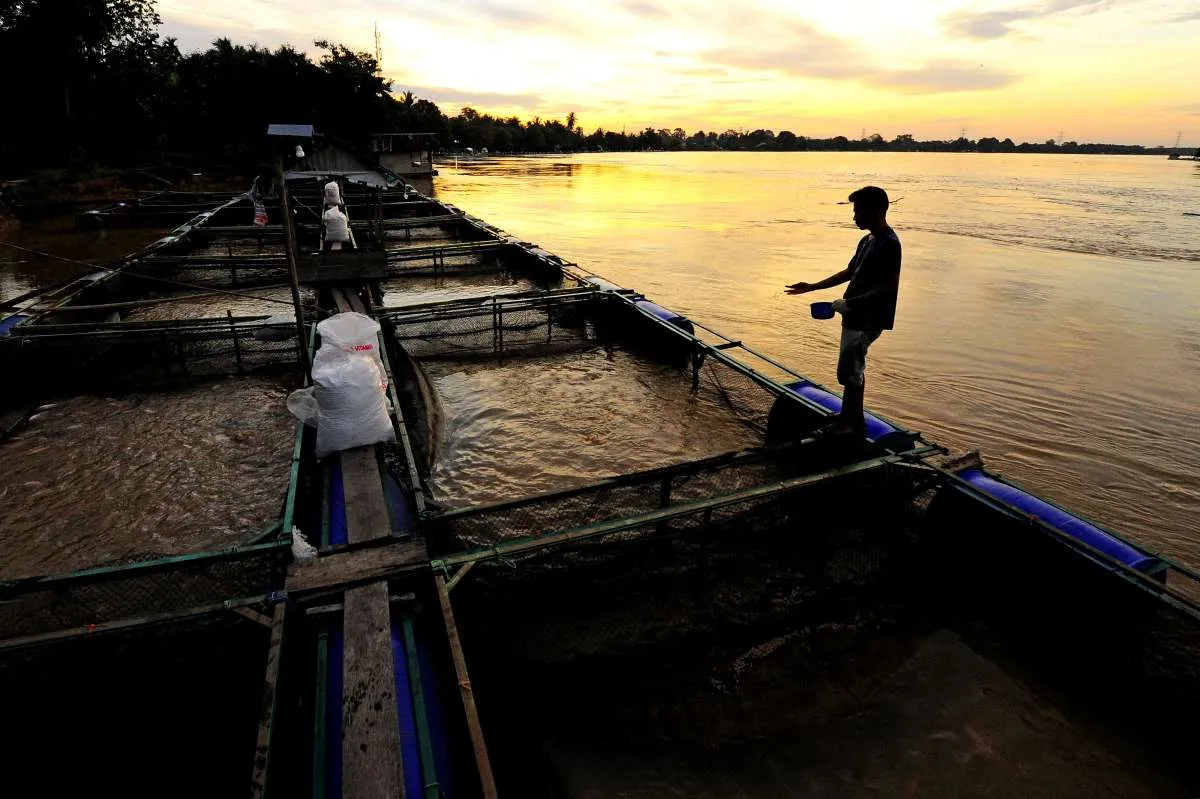 Holding BUMN pangan diharapkan terbentuk pada September 2021