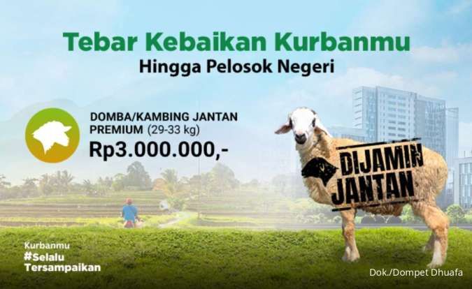 Kambing Kurban Dompet Dhuafa