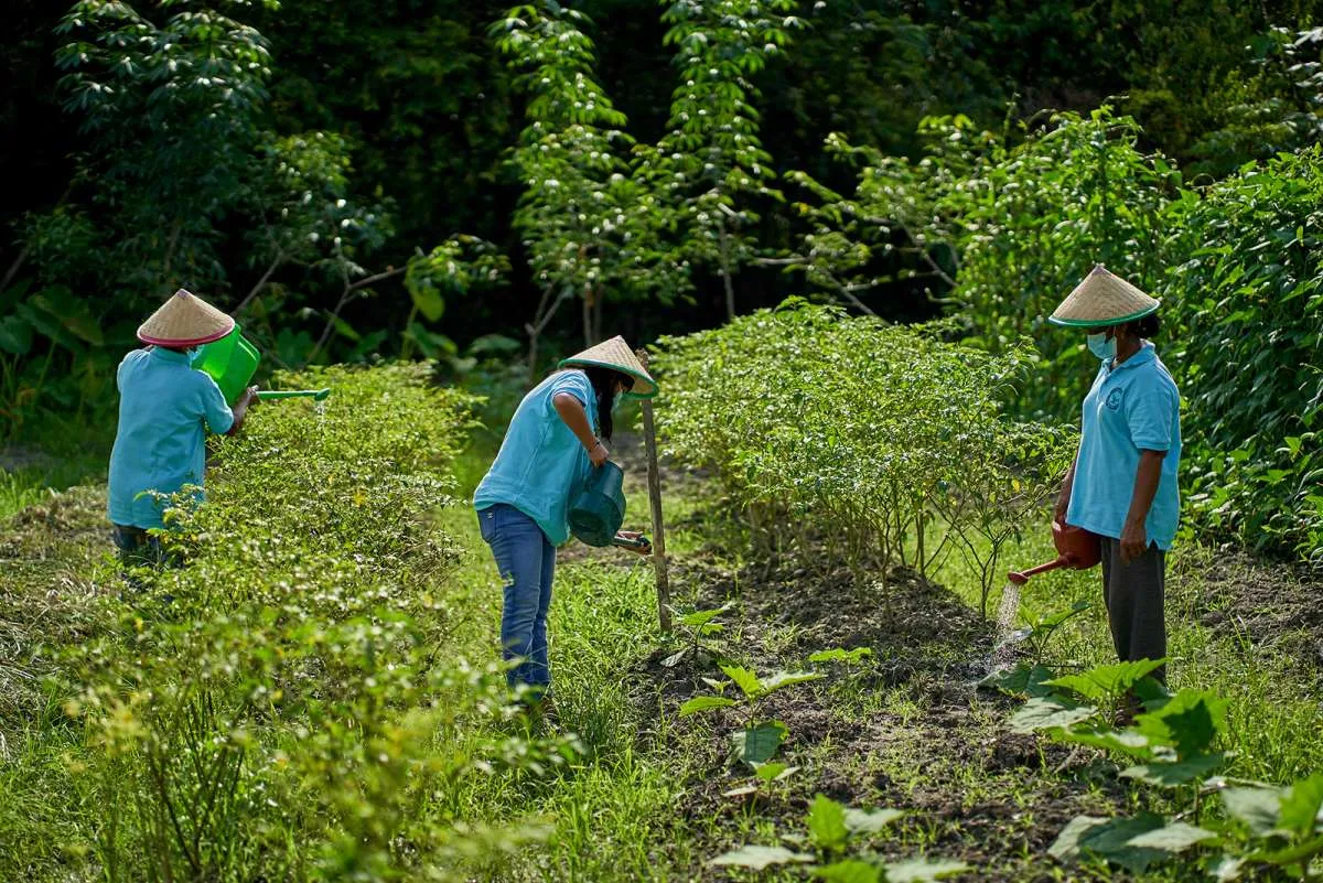 Sinar Mas Agribusiness and Food Gaet TaniFoundation, Berdayakan 80 Kelompok Tani
