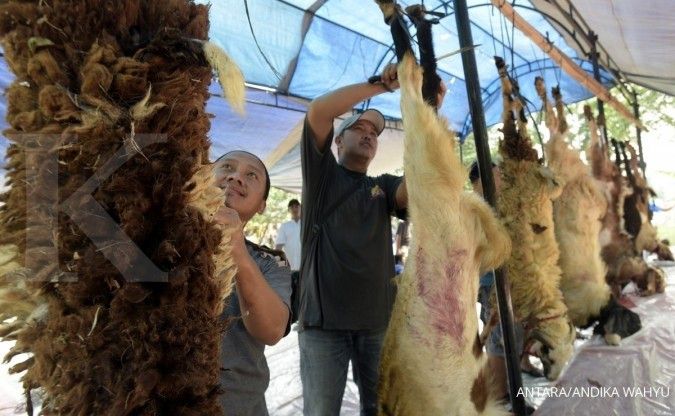 Idul Adha, Bank DKI salurkan 1.000 hewan kurban