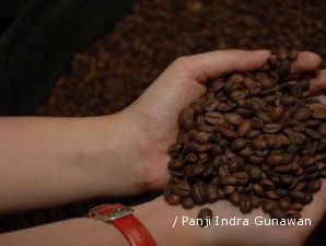 Produksi arabica turun karena serangan hama