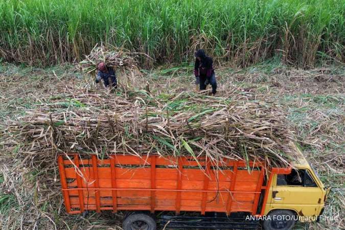 Kemendag Respons Kekhawatiran APTRI, Petani Tebu Disebut Tetap Jadi Perhatian