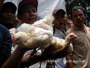 Pedagang Ayam Pedaging di Wilayah Jakarta Resah