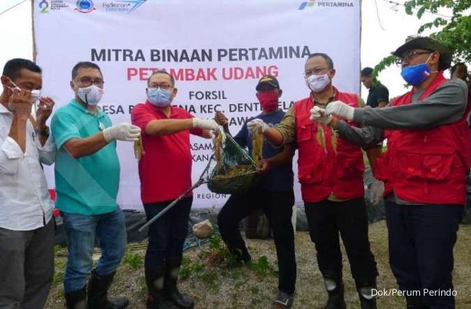 Perum Perindo dan Pertamina kembangkan potensi budidaya perikanan di Lampung