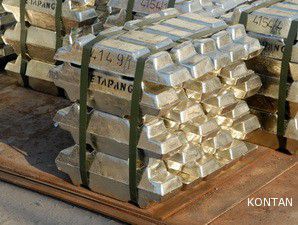 TINS Borong 8 Unit Kapal Senilai Rp 300 M