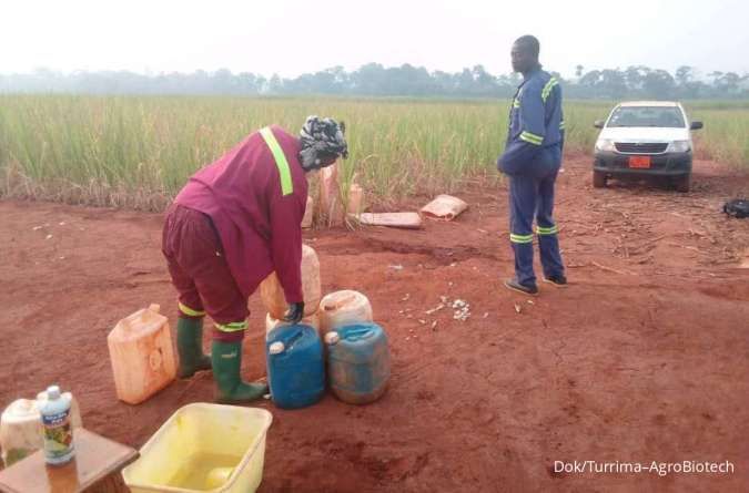 Pupuk Organik Asal Sragen Mampu Menyuburkan Bumi Kamerun