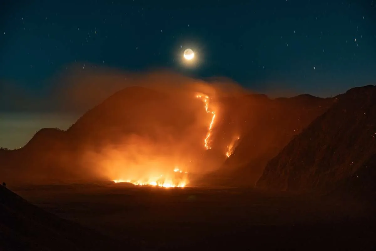 Fire Near Mount Bromo Extinguished After 550 Hectares Burnt, but New Hotspots Emerge