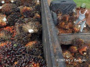 Harga sejumlah komoditas anjlok, CPO bergerak fluktuatif