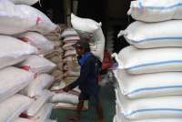 Cemas Polemik Beras Oplosan, Pabrik Penggilingan di Sejumlah Daerah Berhenti Operasi