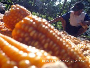 Pemerintah genjot produksi pangan dalam negeri