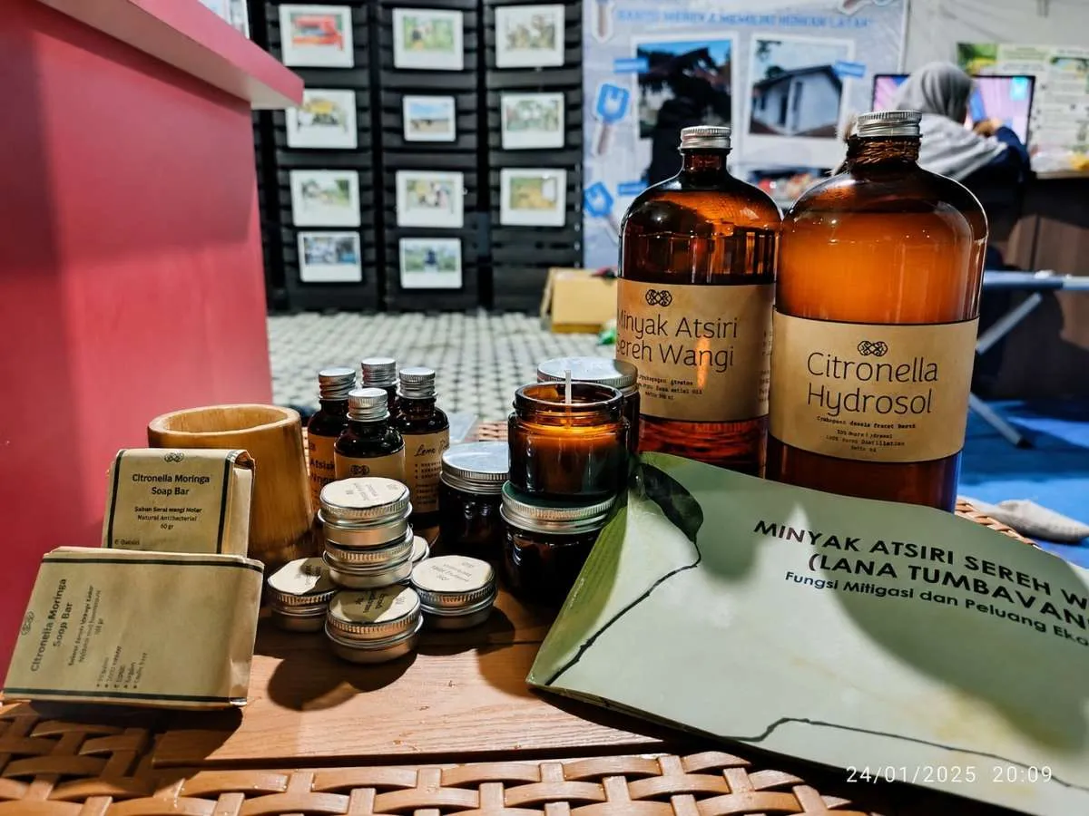 Lana Tumbavani Produk Minyak Sereh Wangi Merambah Pasar Amerika Serikat