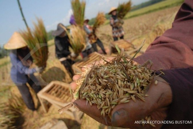 Tepis impor beras, Mentan panen padi di Karawang