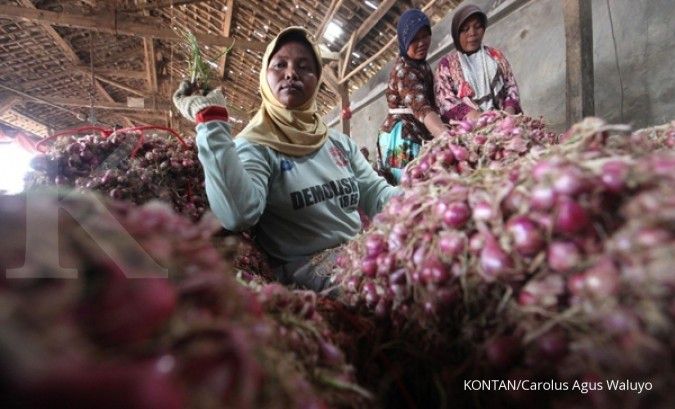 Harga tinggi, KPPU sidak distribusi bawang merah 