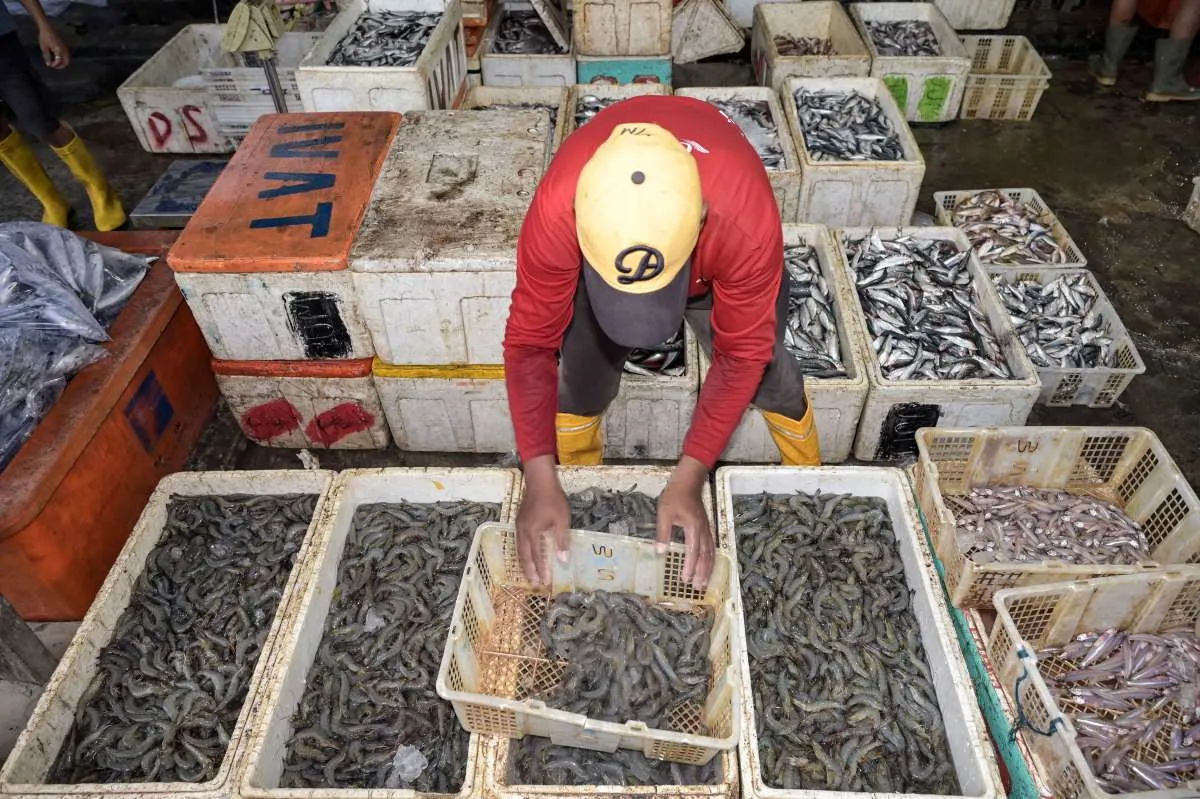 Jalankan Penangkapan Ikan Terukur (PIT) , Perindo Bidik 350.000 ton dalam 5 Tahun