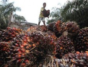 Investor masih cemas, kontrak harga CPO kembali melorot hari ini