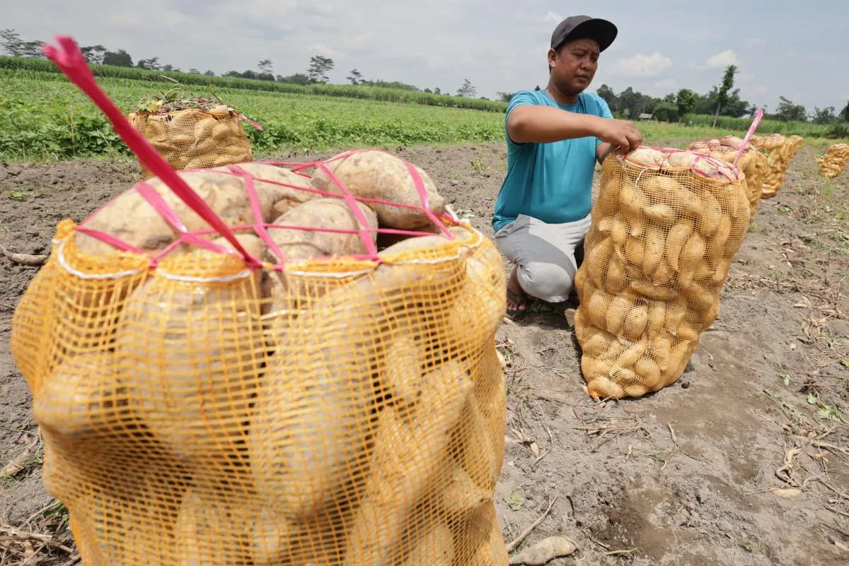 Geopolitik Memanas, Ketahanan Pangan Menjadi Prioritas Pemerintah dan Dunia Usaha