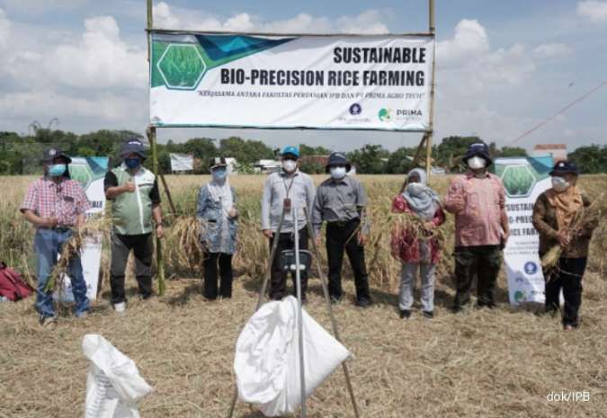 Kembangkan teknologi bio presisi tanaman padi, IPB berkolaborasi dengan Prima Agro