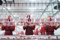 Widodo Makmur Perkasa (WMPP) Menyiapkan Sejumlah Agenda Bisnis Tahun Depan