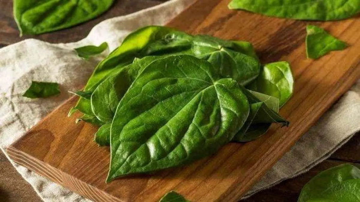 5 Obat herbal untuk sakit gigi yang bisa Anda buat sendiri di rumah