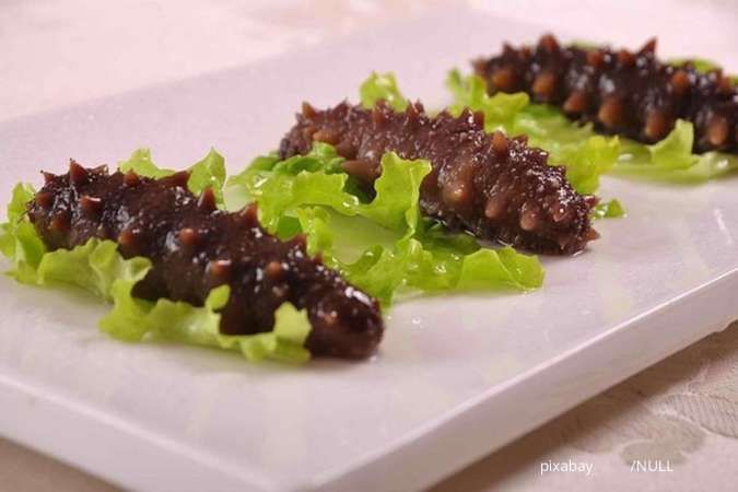 Tidak Banyak Diketahui, Ini Sederet Manfaat Timun Laut untuk Kesehatan