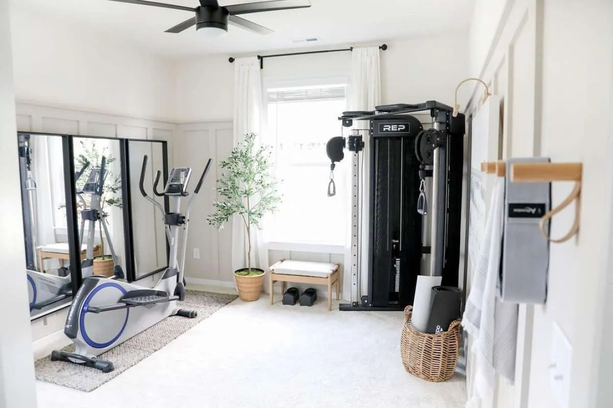 8 Tanaman Terbaik untuk Ruang Olahraga, Jadi Penambah Udara Segar dan Sejuk