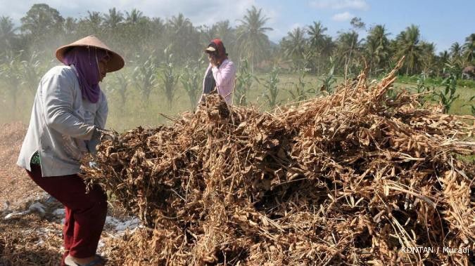 Kemtan genjot produksi kedelai 1,9 juta ton