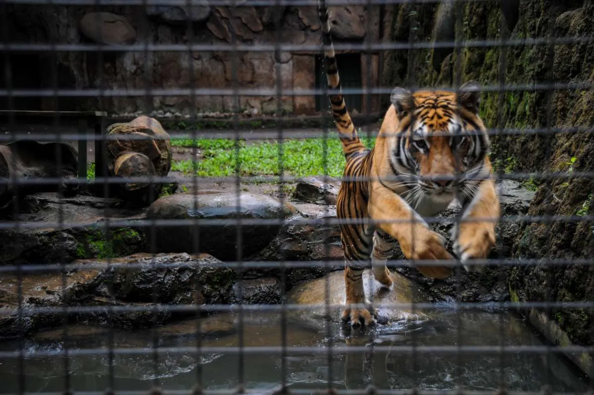 Cegah penyebaran virus corona, obyek wisata di Bandung tutup sementara