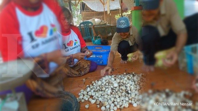 Memasok jamur ke Bandung dan Jakarta (3)