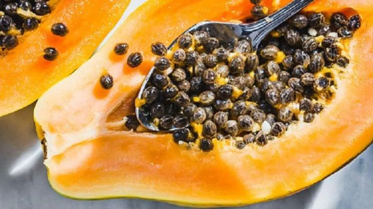 7 Manfaat Biji Pepaya, Bisa Menurunkan Berat Badan 