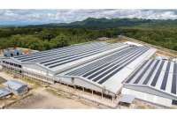 Widodo Makmur Perkasa (WMPP) Siap Genjot Impor Sapi Usai Pemerintah Hapus Kuota