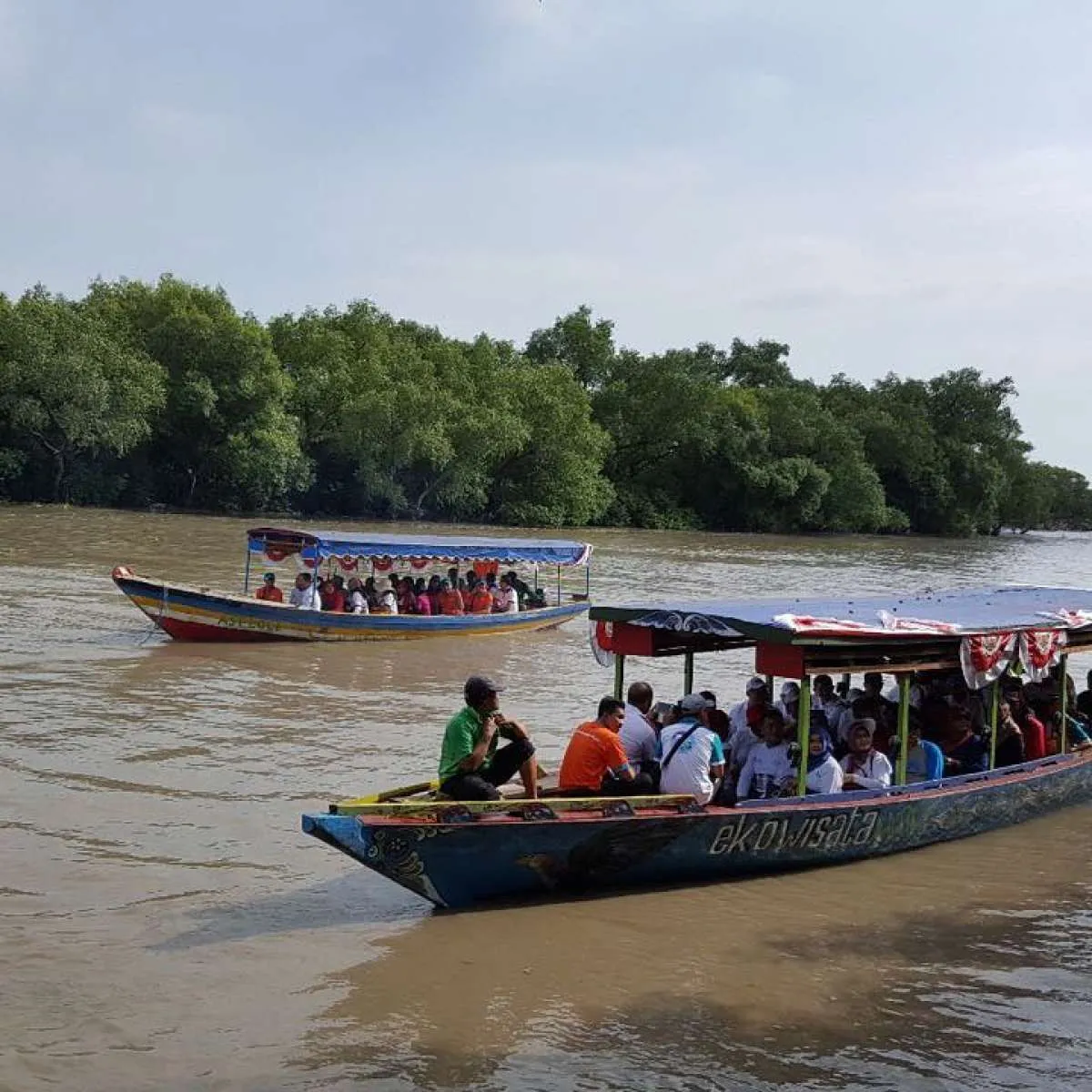 Mangrove Wonorejo, rekomendasi destinasi ekowisata di Surabaya
