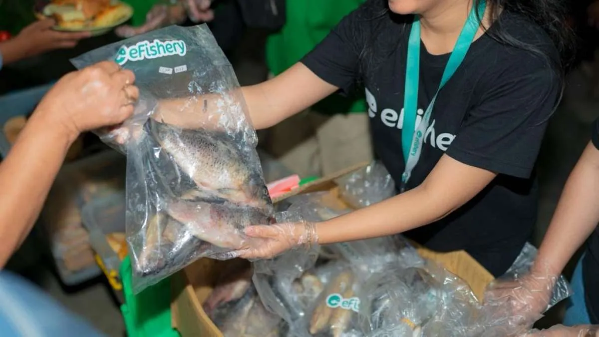 Kisruh eFishery, Sejumlah Bank Ini Dibayangi Potensi Kredit Macet