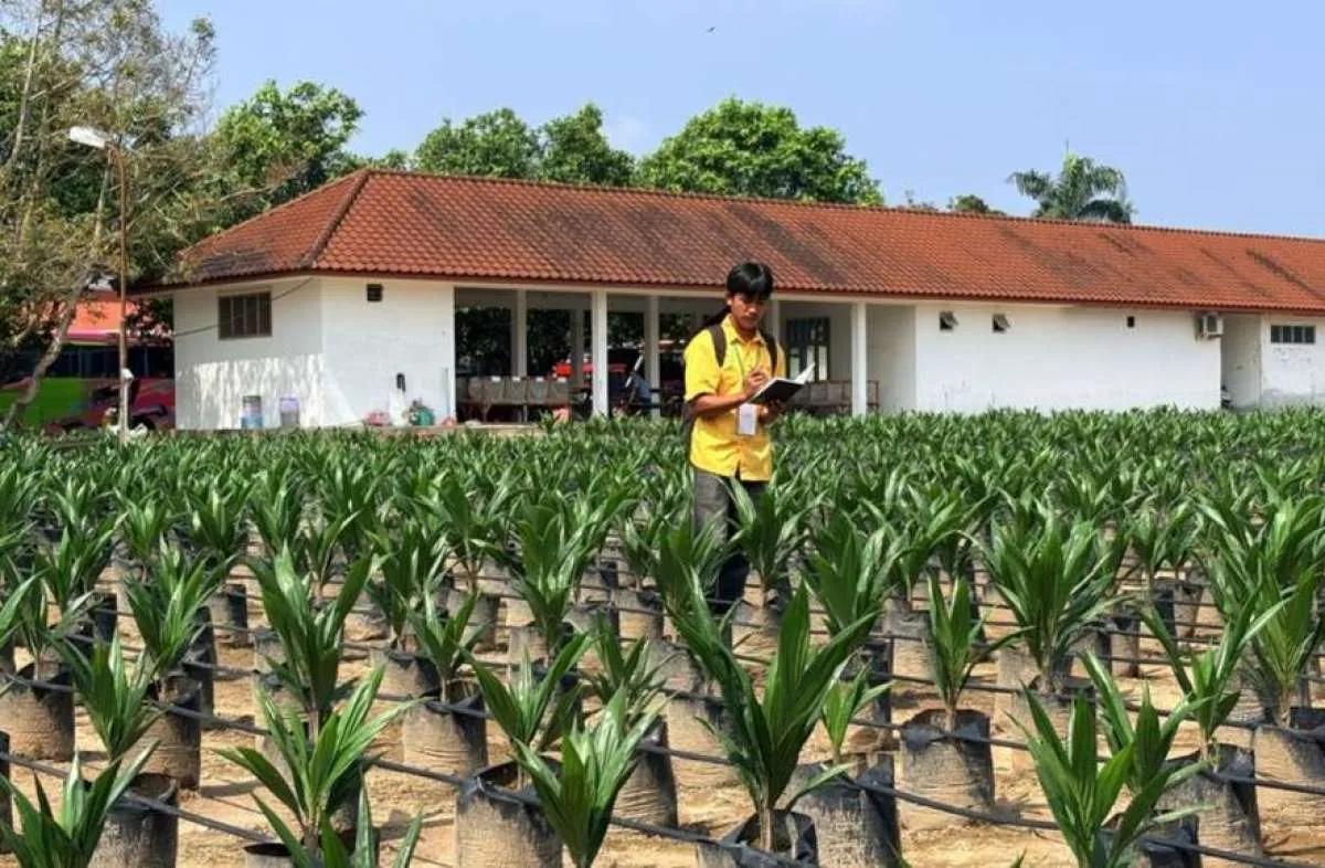 BPDP Perkuat Kolaborasi untuk Meningatkan Produktivitas Pekebun Sawit Swadaya
