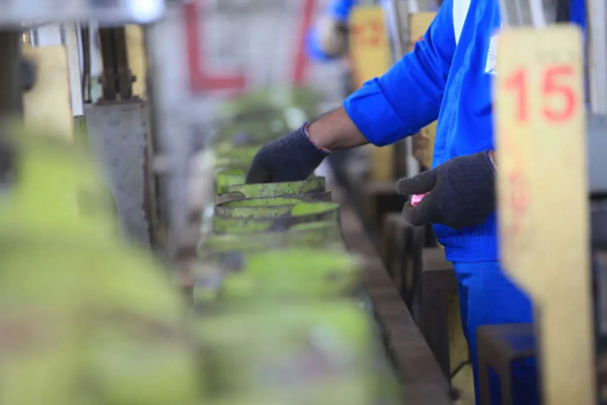 Pertamina proyeksikan kebutuhan LPG subsidi tahun 2021 mencapai 7,5 juta metrik ton