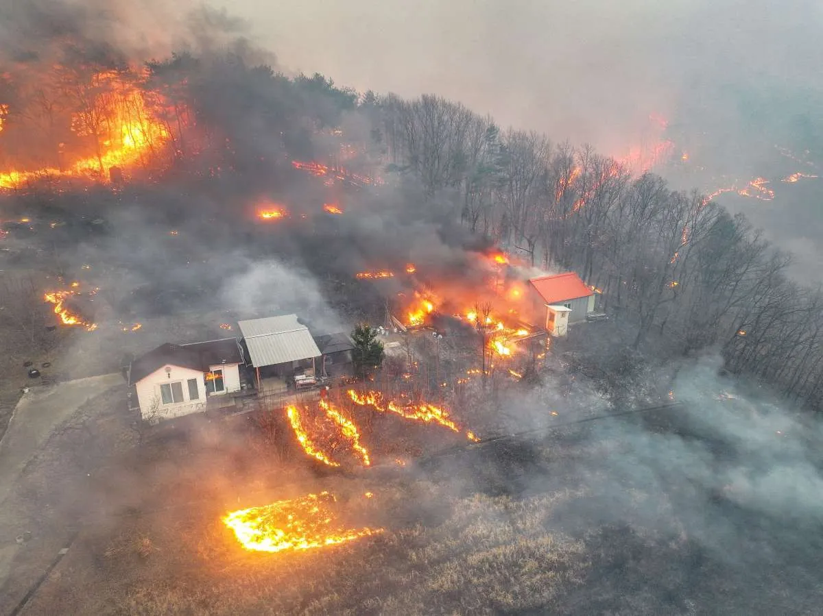 Korea Selatan Hadapi Kebakaran Hutan Terburuk, Korban Tewas Capai 26 Orang