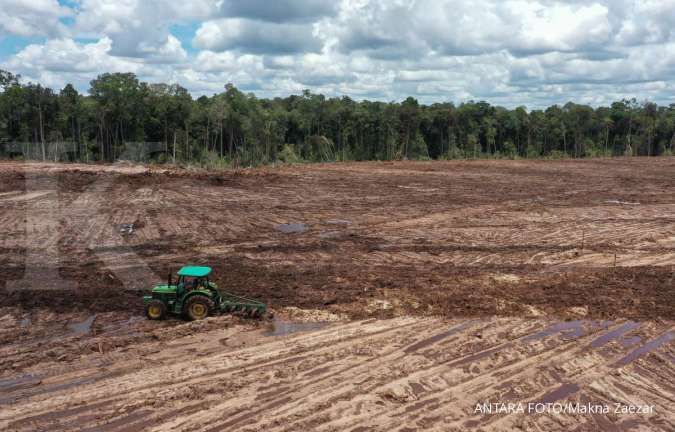 DPR Meminta Evaluasi Program Food Estate