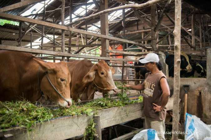 Kontan - Bukit Asam Kilas Online