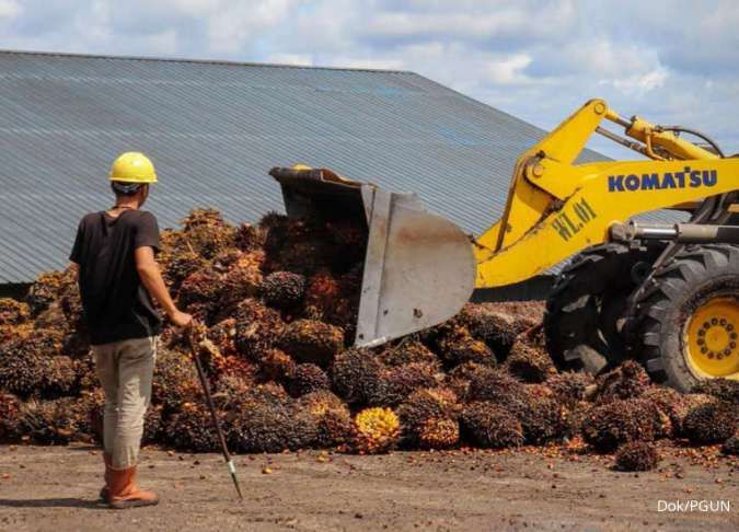 Palm Slumps Nearly 7% on Weaker Rival Oils
