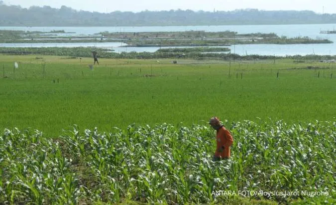 Mayoritas Cuaca Wilayah Jawa Tengah Besok (25/9) Diprediksi Berawan, Suhu Capai 36°C