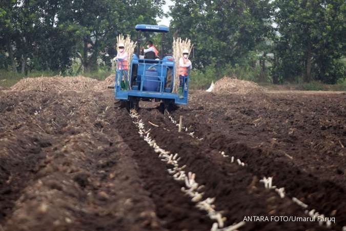PSN Kebun Tebu di Papua Mulai Dieksekusi, Alat Berat Sudah Tiba di Merauke