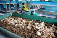 Limbah Sampah Program MBG Membebani Daerah