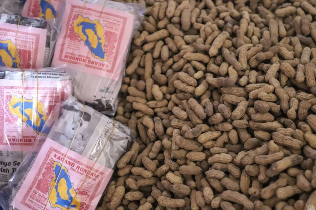 Di tangan pemilah, kualitas kacang rondam khas Samosir terus terjaga