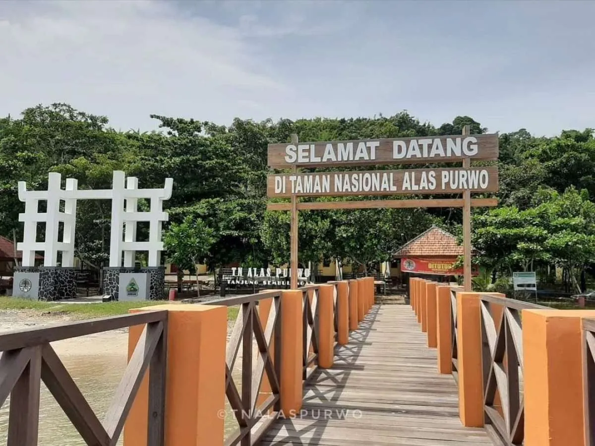 Trending Alas Purwo lebih baik daripada Bali, seperti apa isinya?