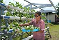 Rumah Pangan PNM Dorong Kesejahteraan Nasabah Mekaar dan Ketahanan Pangan Nasional