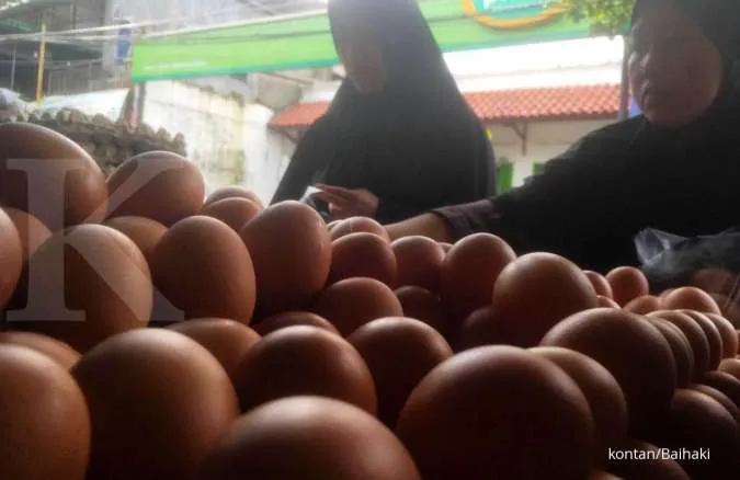Moms, Ini Loh 4 Cara Mudah untuk Pilih Telur yang Baik. Simak Penjelasannya di Sini! 